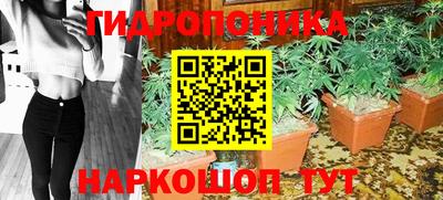 скорость Камышлов